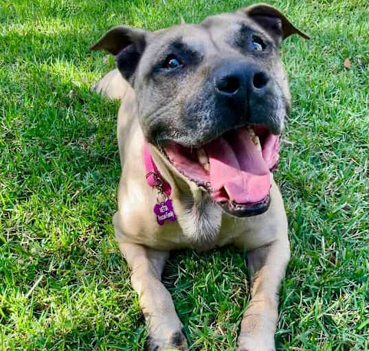 Photo of Hope