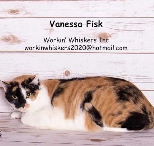 Photo of VANESSA FISK