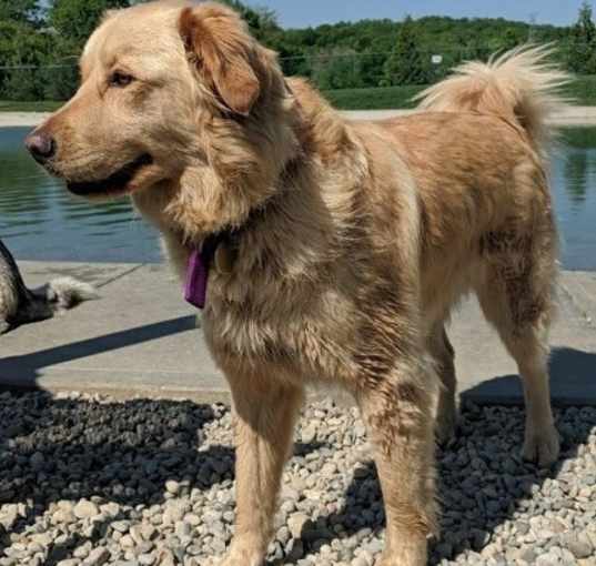 Photo of Millie
