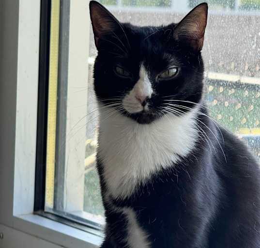Photo of Katie
