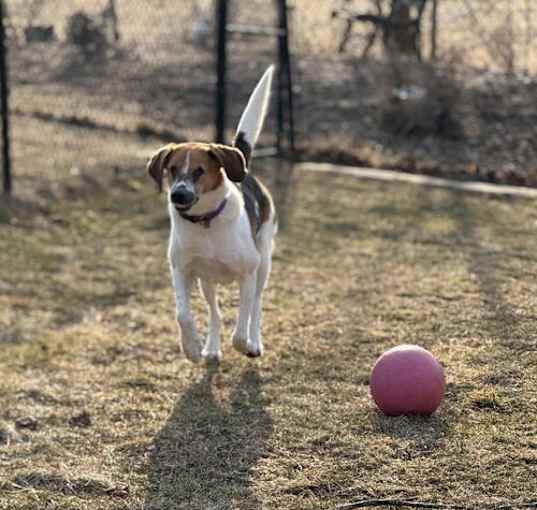 Photo of Duke