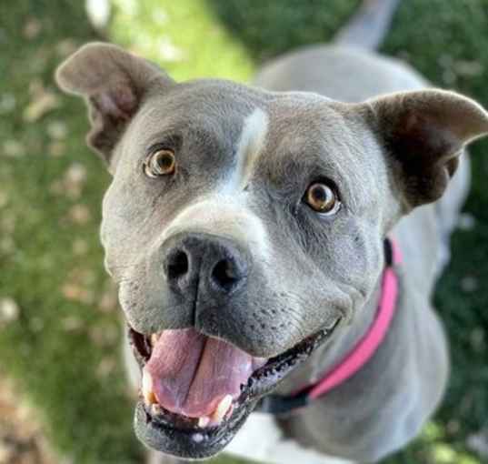 Photo of Athena