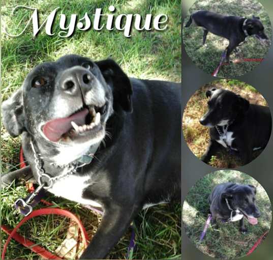 Photo of Mystique