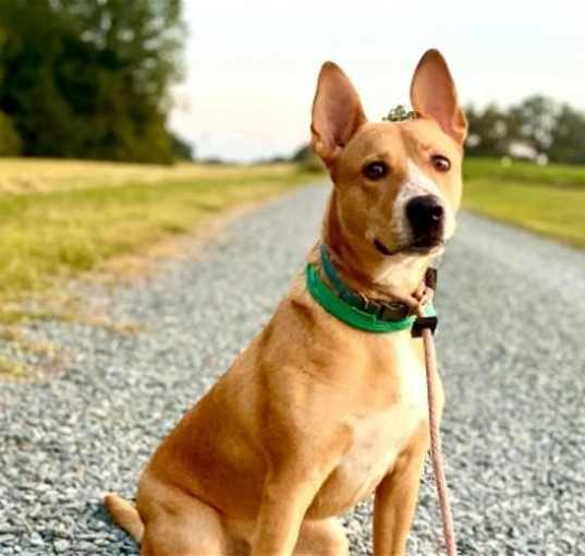 Photo of Peter Pan