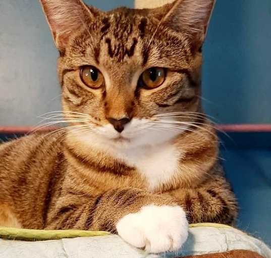 Photo of Bootsy
