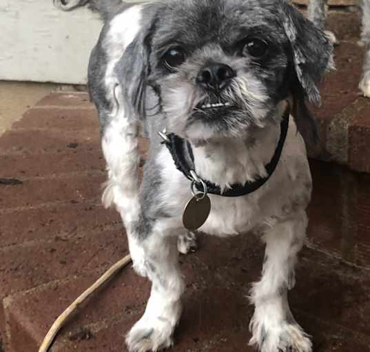 Photo of Mad Max