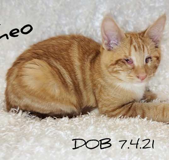 Photo of Theo