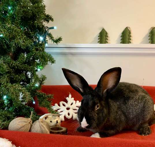 Photo of Ernie