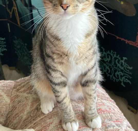 Photo of Big boy