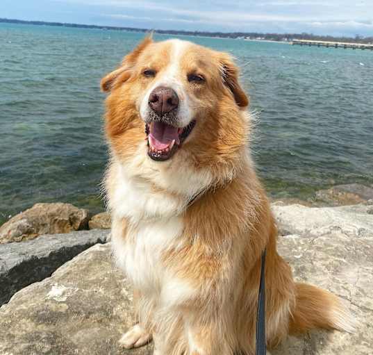 Photo of Ajax