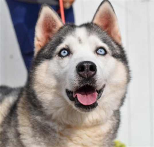 Photo of Lala *Courtesy Post*