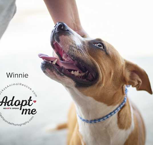 Photo of Winnie