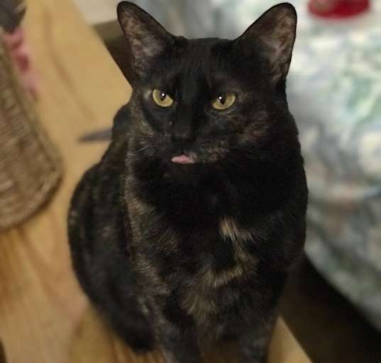 Photo of Spirit
