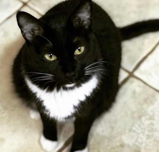 Photo of Bernard