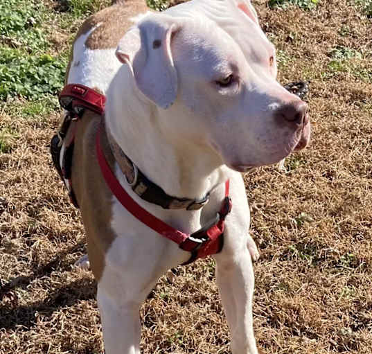 Photo of Hazel