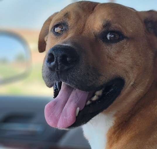 Photo of Axel