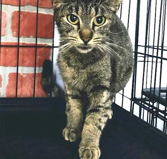 Photo of Carla