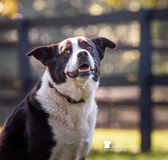 Photo of Porter