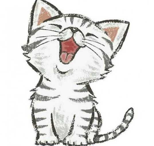 Photo of AAA - Generic Cat Application