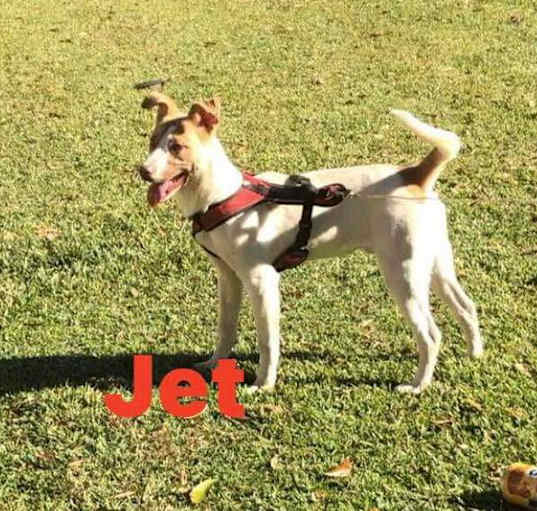 Photo of Jet