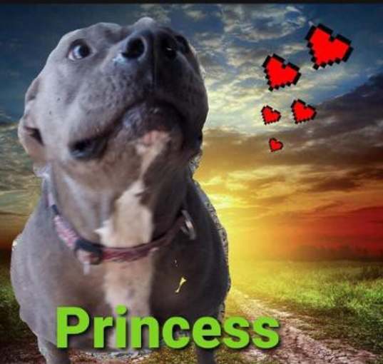 Photo of Princess