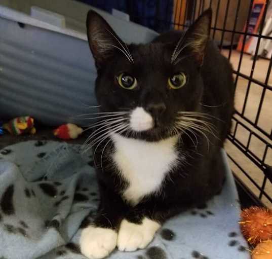 Photo of Darius