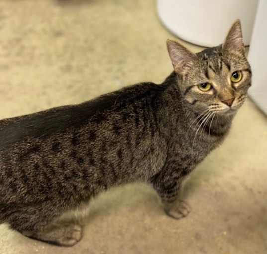Photo of Stormy