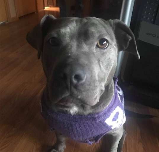 Photo of Laney