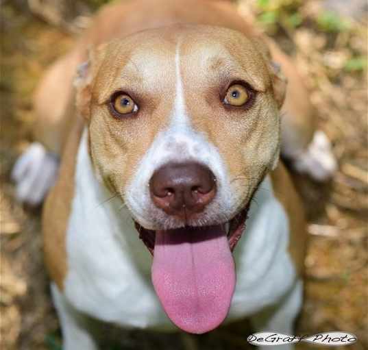 Photo of Cassi