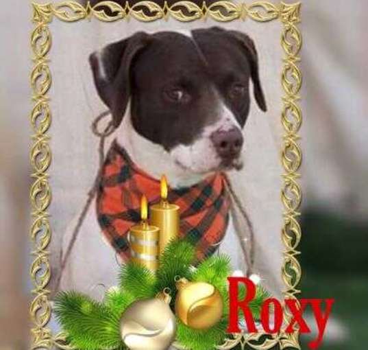 Photo of Roxy