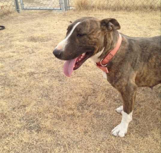 Photo of Kira
