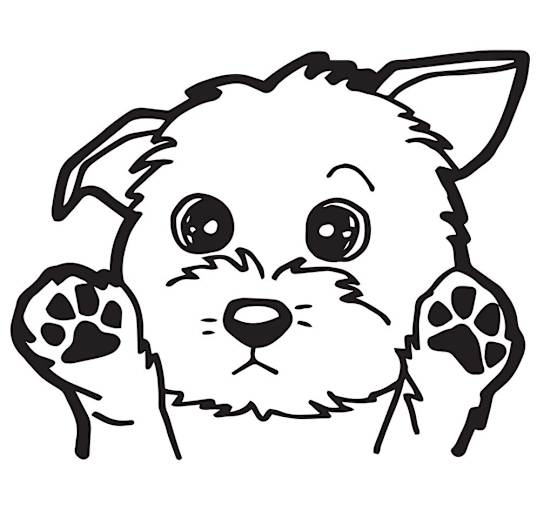 Photo of AAA - Generic Dog Application