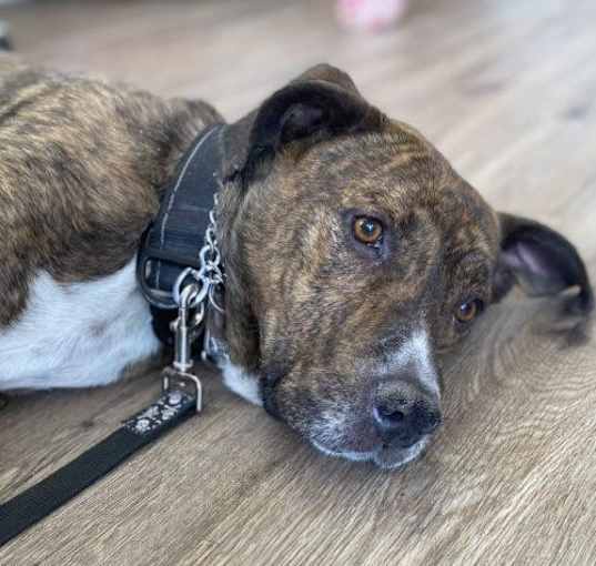 Photo of Zeus
