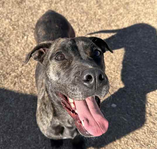 Photo of Odin