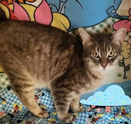 Photo of Captain