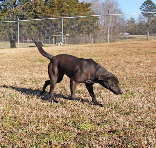 Photo of Charlotte