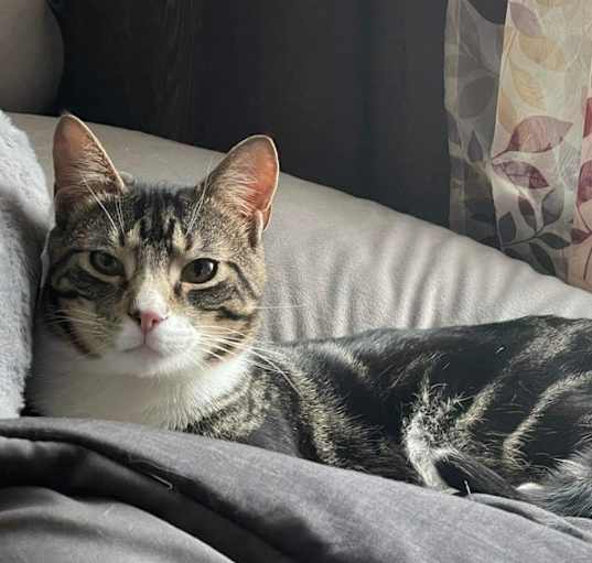 Photo of Ren