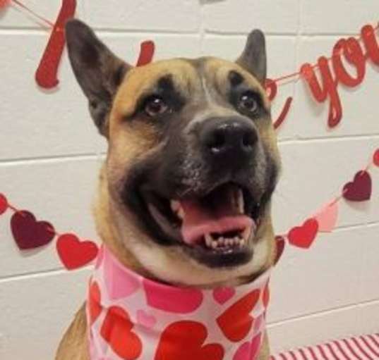 Photo of Xena