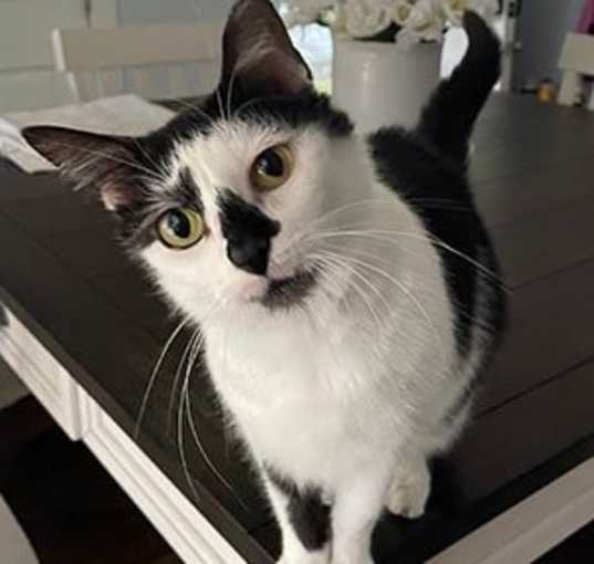 Photo of Angel