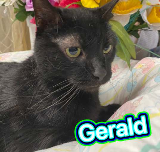 Photo of Gerald