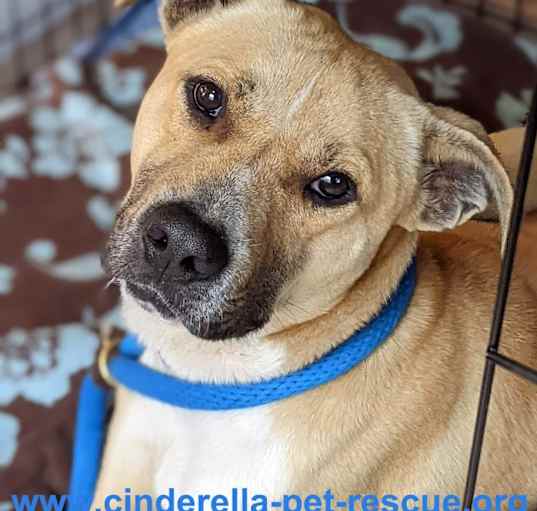 Photo of Pawlie