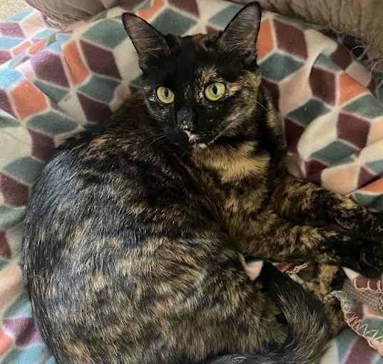 Photo of Ella