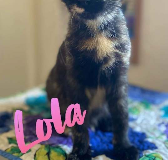 Photo of Lola