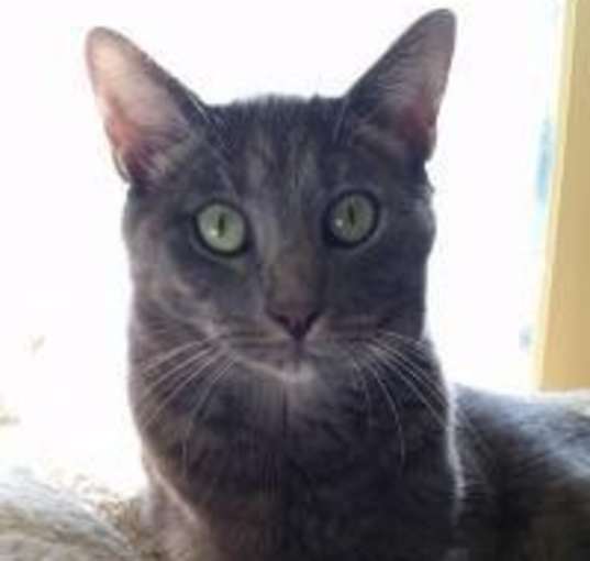 Photo of Maggie