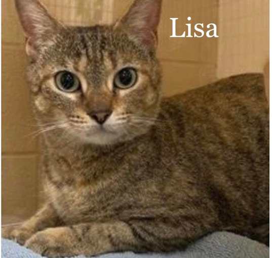 Photo of Lisa