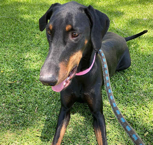 Photo of Gia