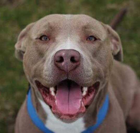 Photo of Ziggy