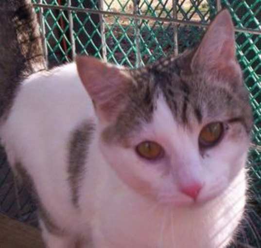 Photo of Emilie (sweet, loving)