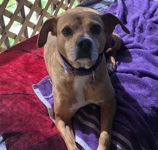 Photo of Zara