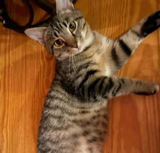 Photo of Charlie